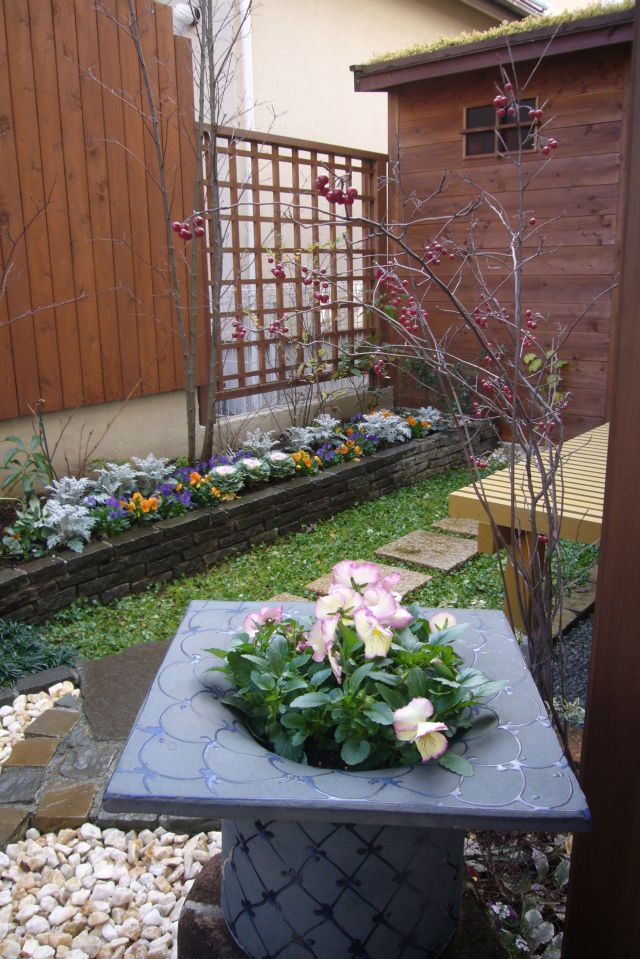 2009年正月の庭の様子