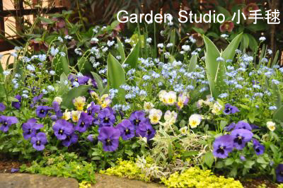 花壇20110415.jpg