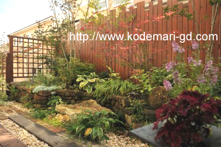 20101102kodemari風景