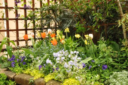 20110430花壇.jpg