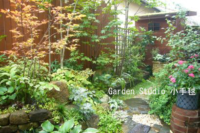 20110926kodemari3.jpg