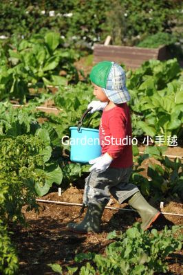 DSC_収穫体験20121103-1.jpg