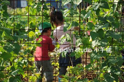 DSC_収穫体験20121103-2.jpg