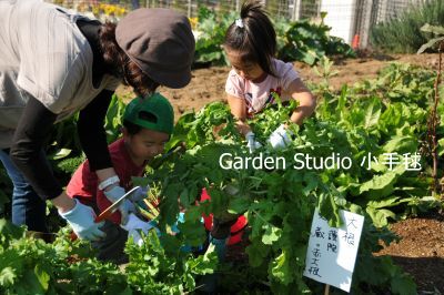 DSC_収穫体験20121103-4.jpg