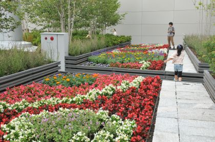 DSC_5579.jpg