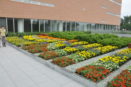 DSC_5592.jpg