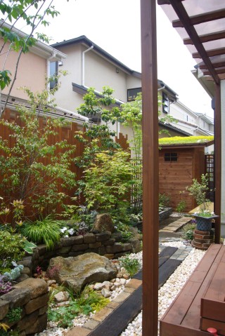 屋根緑化１