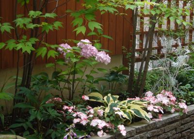 ピンク系の植栽