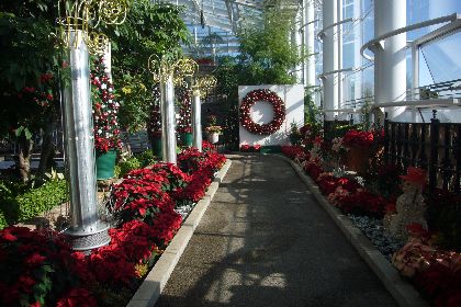 2010年クリスマス１