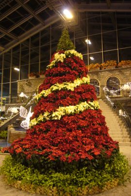 2010年クリスマス２