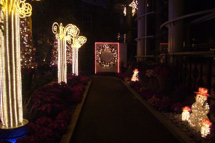 2010年クリスマス７