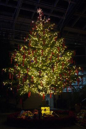2010年クリスマス８
