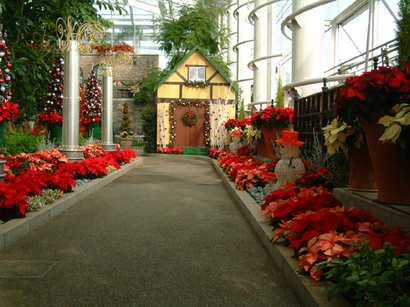 2011クリスマス-３