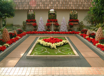 2011クリスマスー２