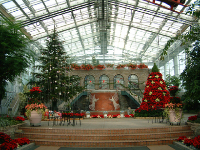 2011クリスマス－１
