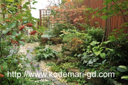 kodemari20101008