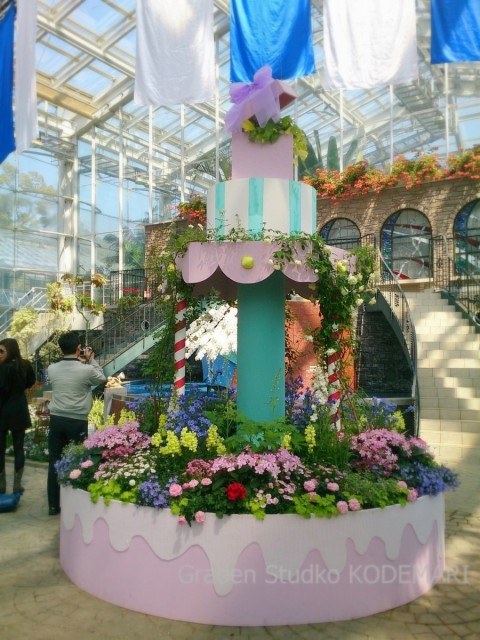 1-DSC_2756bb3