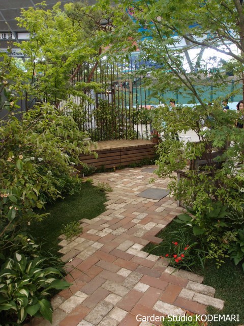 1-P5114016b